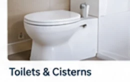 Toilet repairs